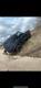 Land Rover Discovery 2 Td5 Off Roader